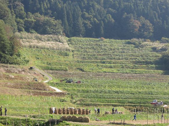 町 天気 山辺