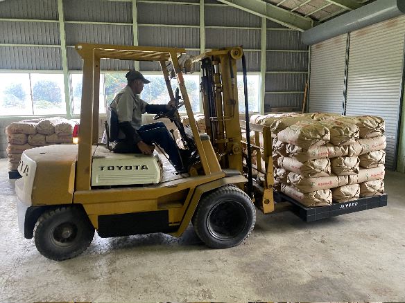 IcĂ̏oh A  ʂ15NA1!!