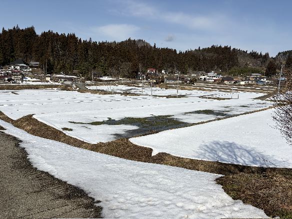 ���t�̒I�c