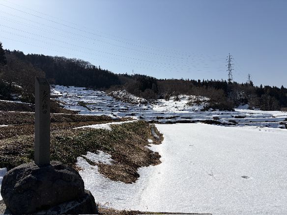 ���t�̒I�c