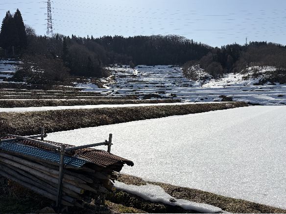 ���t�̒I�c