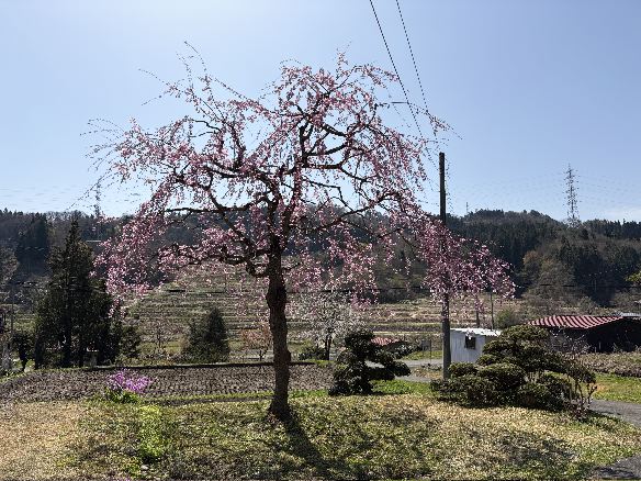 �I�c�ƍg�������