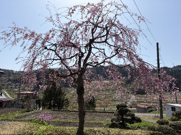 �I�c�ƍg�������