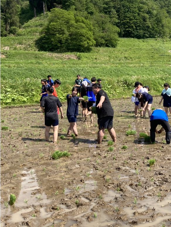 モンテ棚田米の田植え