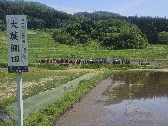 モンテ棚田米の田植え