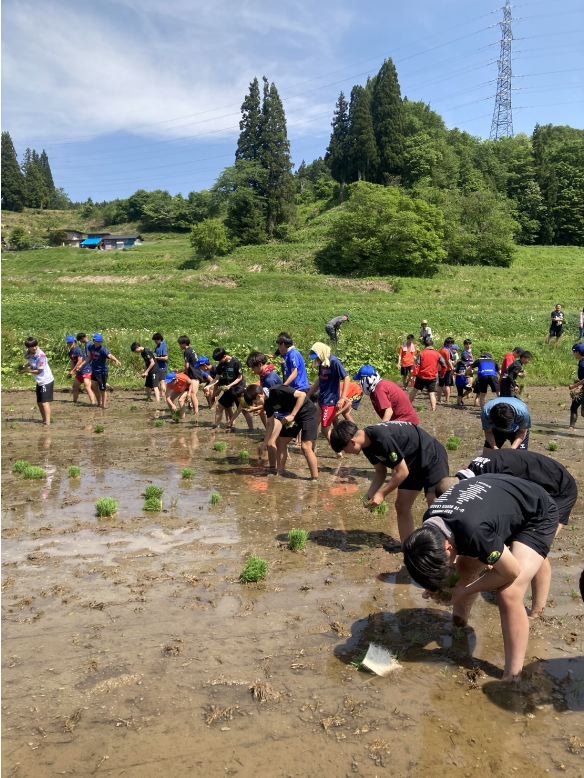 モンテ棚田米の田植え