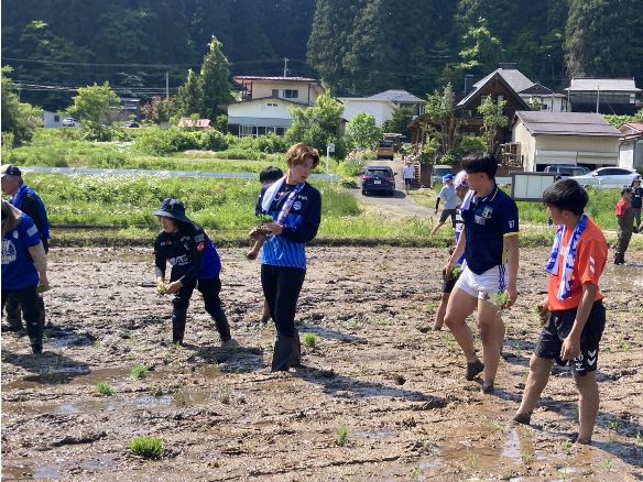 モンテ棚田米の田植え