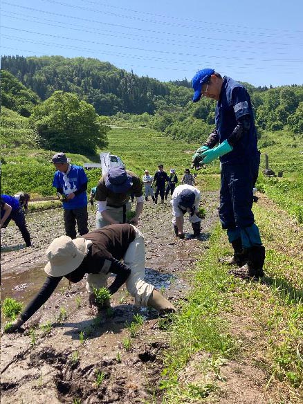 山響棚田米の田植え