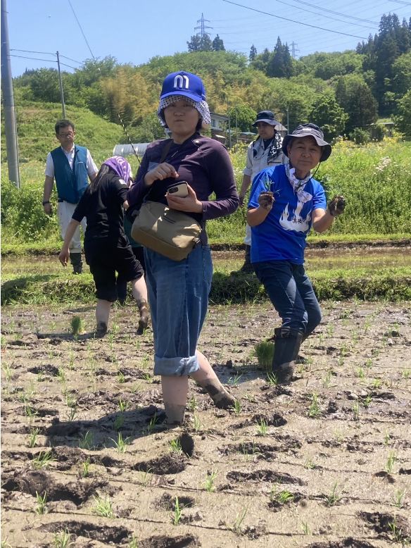山響棚田米の田植え