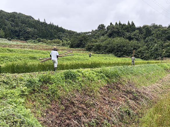 ��{�̈�Y����