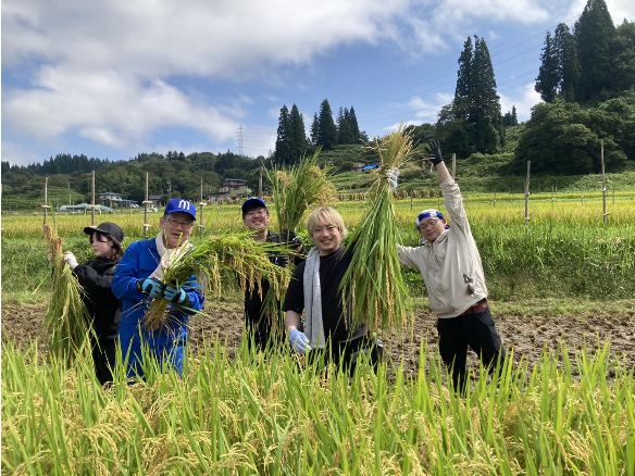 山響棚田米の稲刈り2026