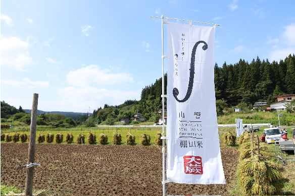 山響棚田米の稲刈り2026