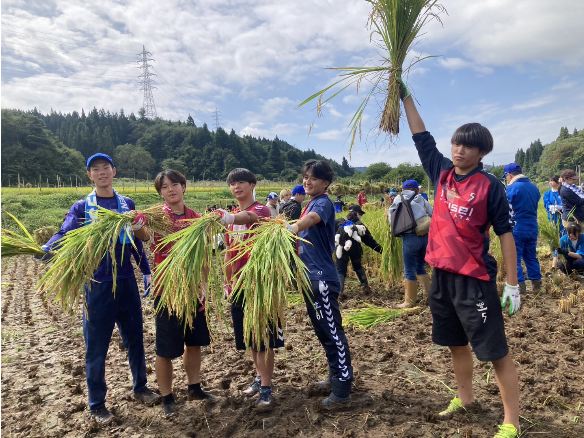 山響棚田米の稲刈り2026