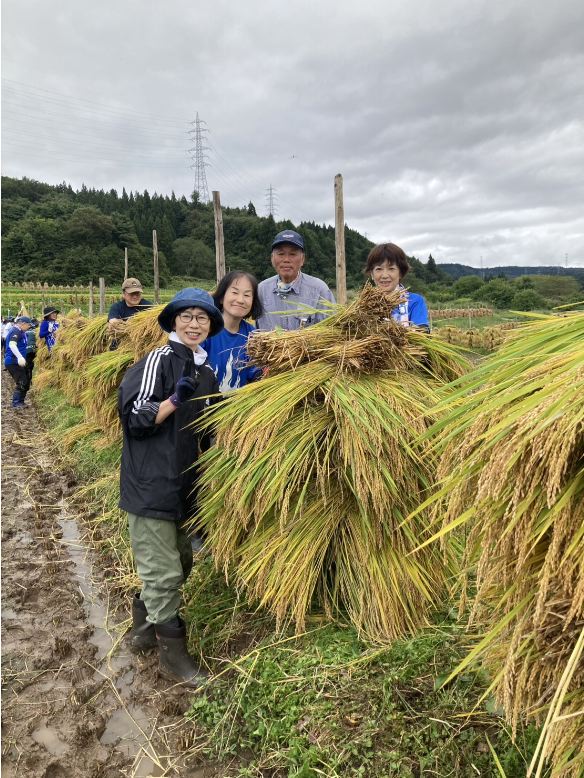 モンテ棚田米の稲刈り2026