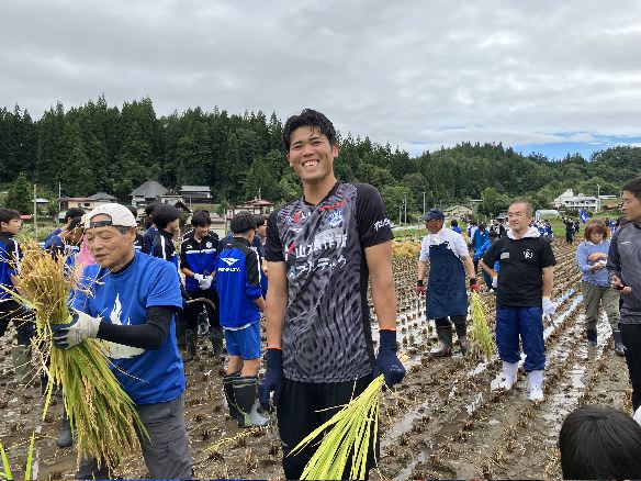 モンテ棚田米の稲刈り2026