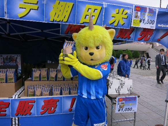 悢惂eIcĔ̔ !